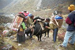 24 Egg Lady and Yak Herders Fixing Yak Loads On The Descent From Shao La To Joksam Tibet.jpg